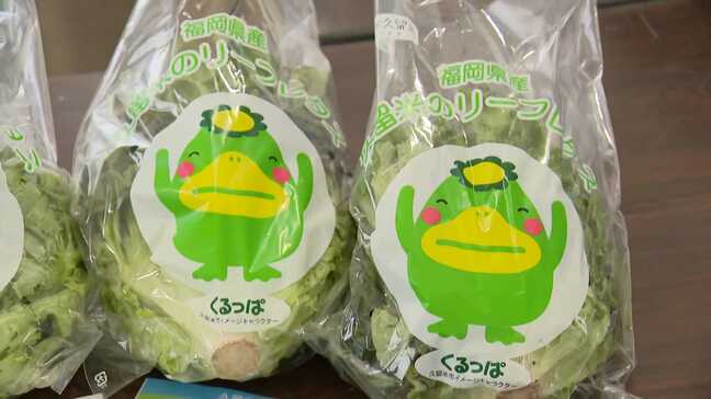 特産サニーレタス100玉を無料で配布　3月2日は「サニーレタス」の日　福岡県久留米市|TBS NEWS DIG