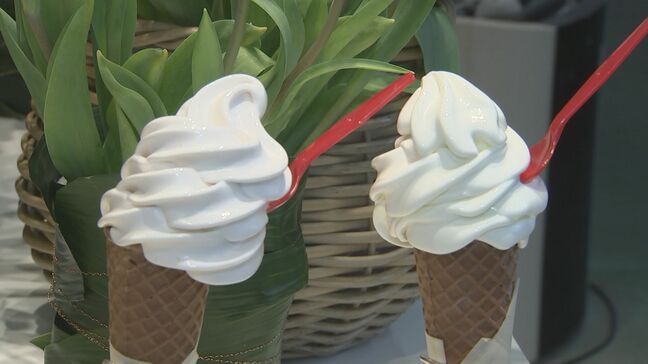 人気ジェラート店が監修する「ソフトクリーム専門店」　プレオープン後は涙も…「地元の味で地域を元気に」　元アナウンサー・2児の母の挑戦|TBS NEWS DIG