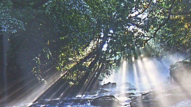 「逆光」テーマの力作111点が集結　写真愛好家17人の作品展　大分|TBS NEWS DIG