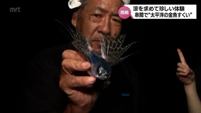 涼を求めて”太平洋の金魚すくい” 夏限定の珍しい体験「トビウオすくい」とは | MRTニュース | MRT宮崎放送