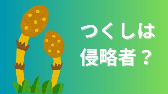 「つくし」という独立した植物は存在しない　「地獄草」の異名をもつ「スギナ」の胞子茎で旺盛に繁殖する「侵略者」？　|　岡山・香川のニュース | 天気 | RSK山陽放送