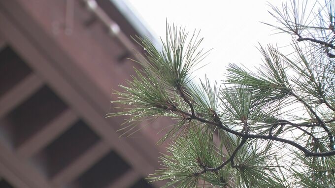石川 落雷や突風に注意 湿った空気の影響受け 金沢で一時大雨警報　|　石川県のニュース｜MRO北陸放送