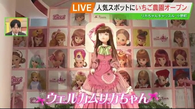 大人も子供も変身！リカちゃんキャッスルで叶うお姫様気分　新しくイチゴ農園もオープン！【ゴールデンウィークおススメスポット　福島県GWその７】|TBS NEWS DIG
