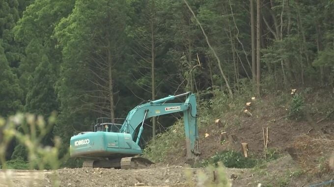 伐採作業中、木の下敷きに…男性1人が死亡する労災事故　死因は“右肺裂傷に伴う出血性ショック”　島根県出雲市|TBS NEWS DIG