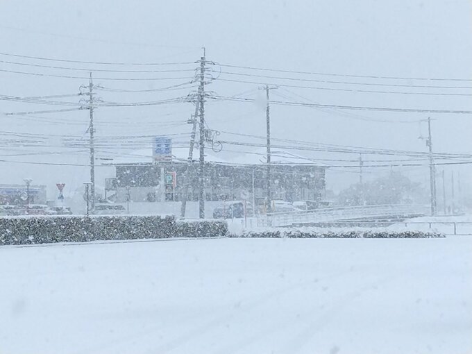 山口市街地は雪降り続く 山陽道・中国道は通行止めも（24日午前8時半現在）|TBS NEWS DIG