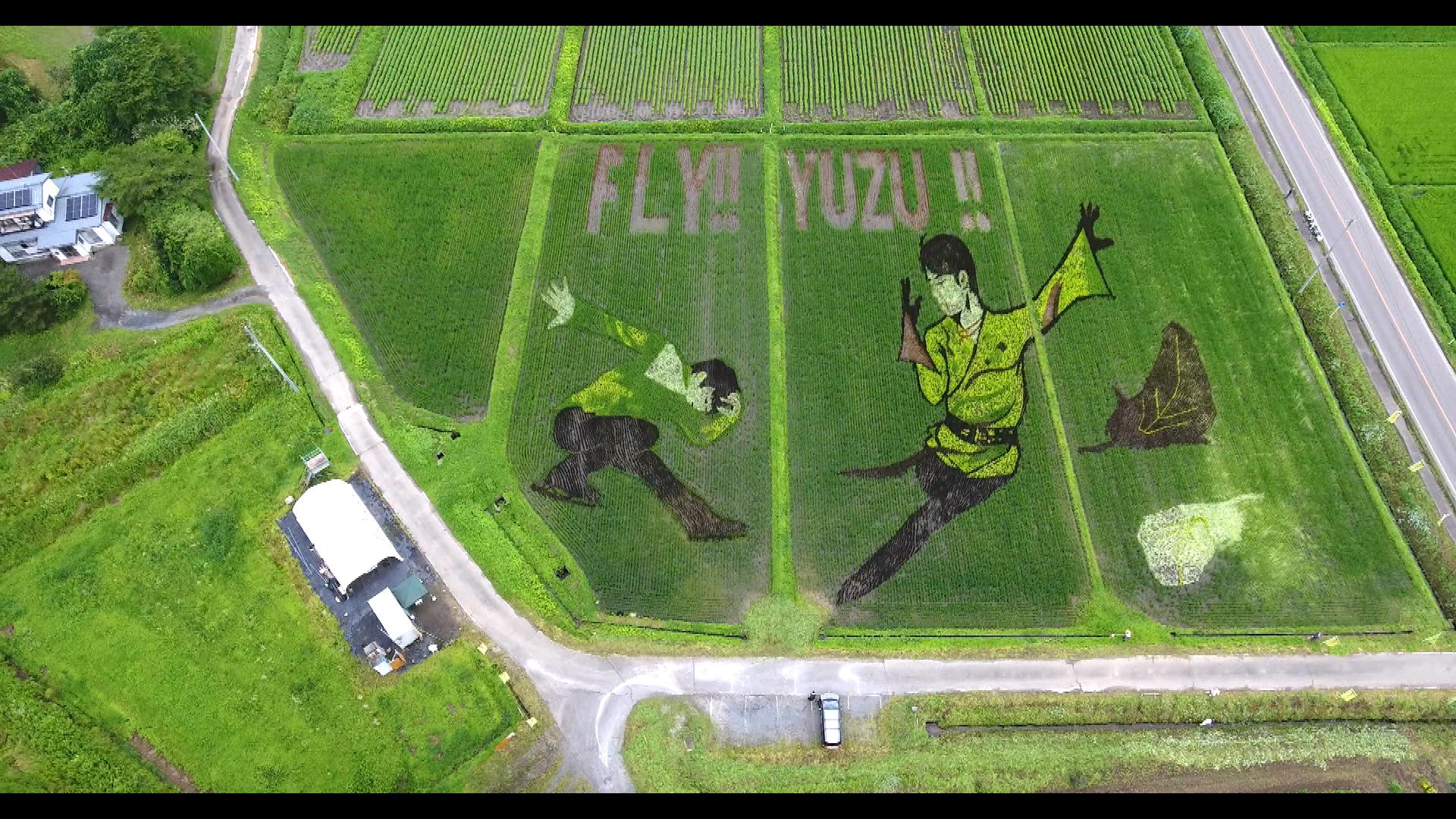 今後の活躍にエール」プロ転向の羽生結弦選手へ ”田んぼアート”見ごろ