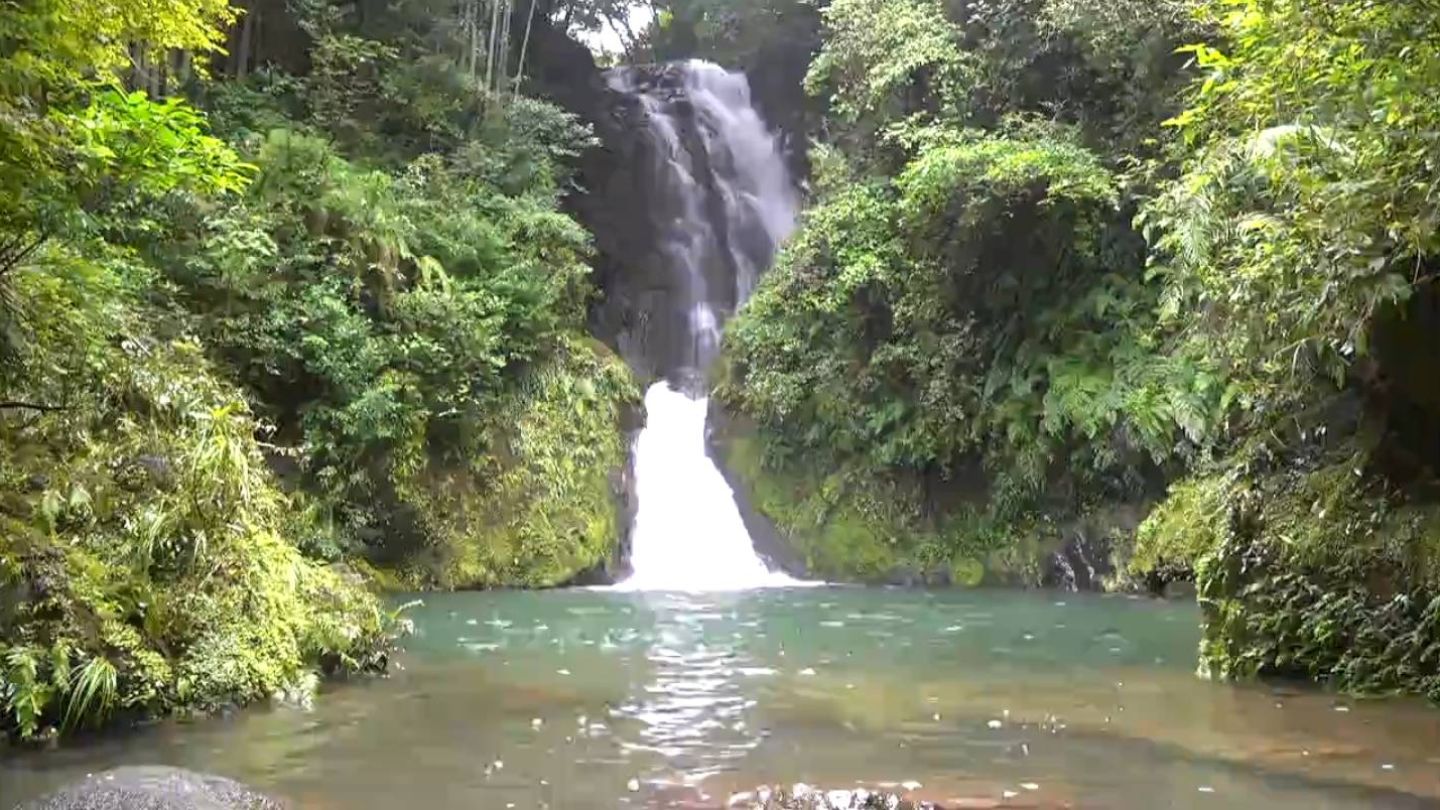 幻想的な夜の滝 藤本の滝ライトアップ 薩摩川内市・樋脇町 | 鹿児島の