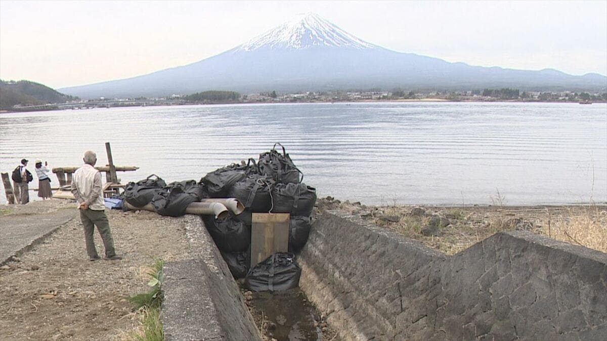「ほとんど水がない」急きょポンプを設置　田んぼに使う水をくみあげ　水位は基準値のマイナス4ｍあまり　山梨・河口湖