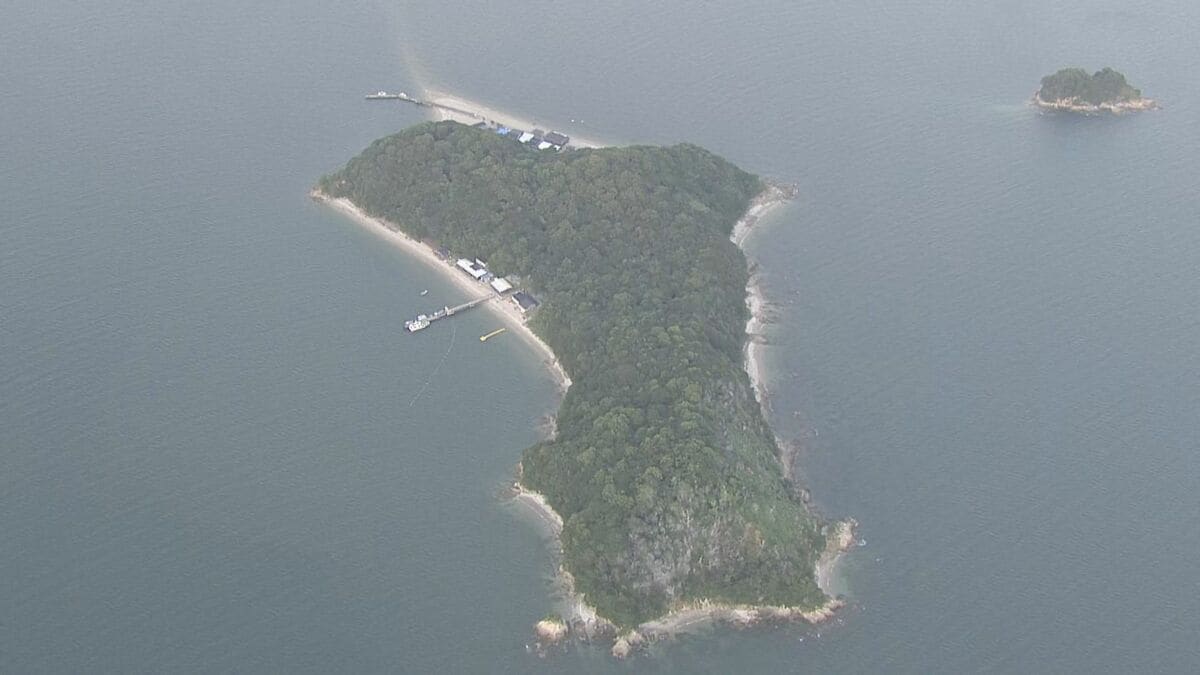 「ごみを燃やしていたところ森林に燃え広がった」沖合の三河大島で森林火災　１人けが　愛知・蒲郡市