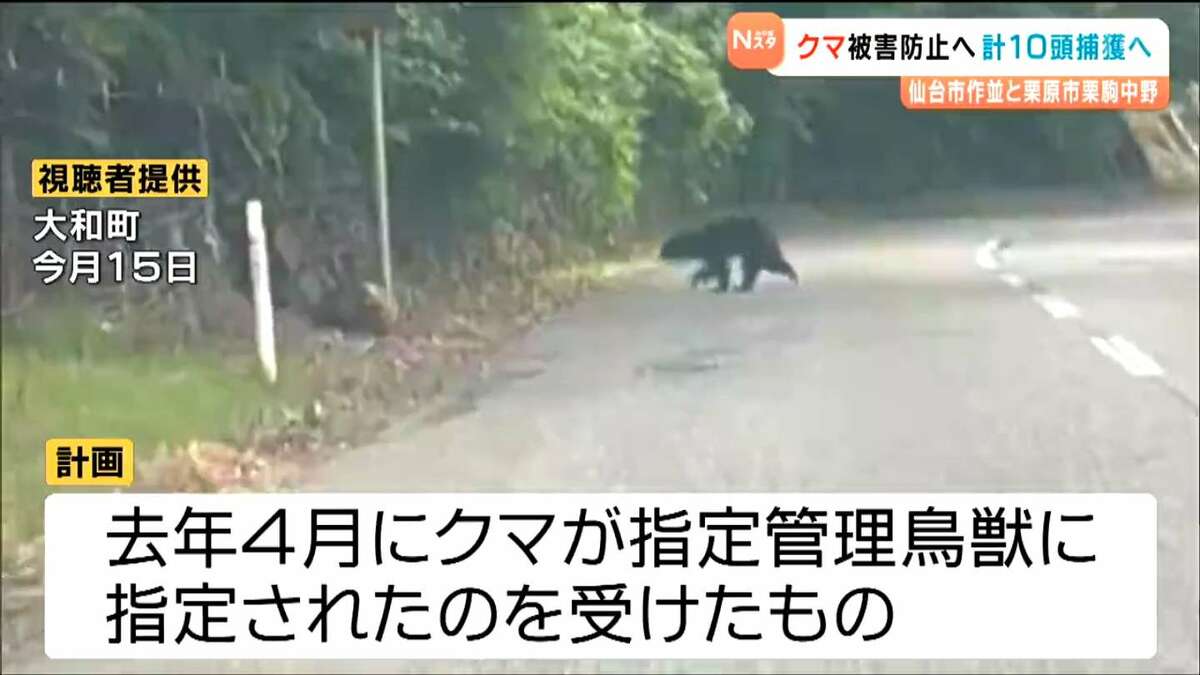 ツキノワグマ目撃相次ぐ中 10月から人里に近い地域で10頭捕獲へ 宮城 