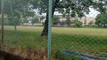 【クマ目撃情報相次ぐ】長野・松本市でスーパーや小学校グラウンド近くで…「クマ見た」との通報が警察や市に相次ぐ…並柳小学校が休校…クマは見つからず|TBS NEWS DIG