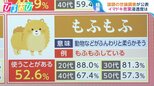 「シャバい」「てぇてぇ」ってどんな意味?時代によって変わる“イマドキ言葉”【ひるおび】|TBS NEWS DIG