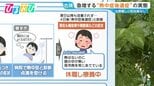 厳しい残暑『暑熱順化リセット』に注意!“熱中症後遺症”で歩行障害や集中力低下も【ひるおび】|TBS NEWS DIG