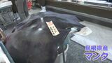 鳥取県初「マックスバリュ」が米子市のデパ地下にオープン あっと驚く巨大な魚も登場!|TBS NEWS DIG