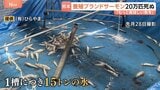 【令和8年熊本地震】20万匹のブランドサーモン死ぬ…それでも「もっと美味しい魚を」地震から1か月　復旧に挑む養殖業者　全国から支援も|TBS NEWS DIG