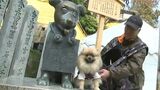 金刀比羅宮で “わん詣で” 愛犬と一緒に785の石段を登る初詣イベント開催 新たな活性化のきっかけに【香川】|TBS NEWS DIG
