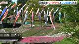 シバザクラとこいのぼりが共演 大雪の影響で開花は例年より2週間ほど遅れ 見ごろは18日ごろまで 新潟・上越市|TBS NEWS DIG