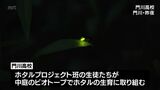 生徒が生育 門川高校でホタルの一般公開始まる | MRTニュース | MRT宮崎放送