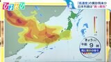 日本列島に“濃い黄砂”「花粉症の悪化」をひきおこすことも…対策を専門家に聞く【ひるおび】|TBS NEWS DIG