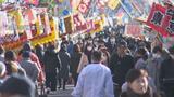 「椿まつり」3年ぶり通常開催へ 露店もコロナ禍前の規模まで復活 1月28日から3日間 | 愛媛のニュース - Nスタえひめ|あいテレビは6チャンネル