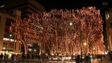 仙台の冬の風物詩「SENDAI光のページェント」開幕　多くの家族連れなどでにぎわう|TBS NEWS DIG