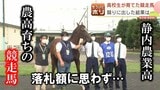 名馬ディープインパクトの「孫」も育成…静内農業高校育ちの馬「奏叶」ターフを駆けろ!競り市で高額落札?|TBS NEWS DIG