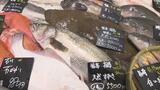 「応援する気持ち」福島県産の魚を扱う東京の鮮魚店 処理水放出開始1週間 福島 | 福島のニュース│TUF