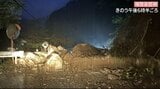 【気象情報・大雨】のり面から土砂流出、床下浸水、各地で倒木被害相次ぐ…前線再び北上へ、長野県南部で11日未明から土砂災害に十分注意呼びかけ　|　SBC NEWS | 長野のニュース | SBC信越放送