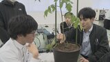地域農業の発展に 甲府工業専攻科の生徒が生育状況のデータを活用してミニトマトづくり 山梨|TBS NEWS DIG