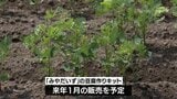 都城市の豆腐店や高校生がコラボ 地元在来種の大豆「みやだいず」を使った"豆腐作りキット"開発へ | MRTニュース | MRT宮崎放送