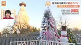 風情ある北京の横町が激変！？再開発で無電化！さらに、ベーカリーにカフェなど新店舗が続々登場！クリスマスツリーも出現【すたすた中継】|TBS NEWS DIG
