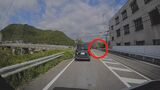 あさの通勤時間・サルが道路に飛び出す “はなれ猿”か?山口市でサル目撃相次ぐ|TBS NEWS DIG
