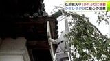 「天守」にも「サクラ」にも細心の注意を払っての作業 弘前城の“世紀の大改修” 約1か月ぶりに天守が移動 担当業者「無事にできて良かった」 青森県弘前市|TBS NEWS DIG