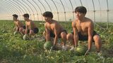 なぜ？上半身裸の屈強な高校水球部員が特産「スイカ」で筋トレ　高校生×農業×筋トレ→その答えは？　|　BSSニュース | BSS山陰放送