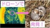 肉眼では困難な捜索に光　温度センサー付きドローンがクマ発見の切り札となるか　実証実験で見えた可能性　岩手|TBS NEWS DIG