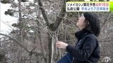 全国有数のサクラの名所「弘前公園」の開花予想が今年初めて発表　園内のソメイヨシノは4月15日　平年より7日早咲きの予想　青森県弘前市|TBS NEWS DIG