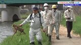 BBQに水遊びなど川でのレジャーの機会が増える季節 大型連休前に河川敷など水辺の安全点検 盛岡市|TBS NEWS DIG