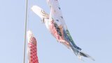 「気持ちいいって感じで泳いでいる」園児たちがこいのぼりを掲げる 甲府市役所 | 山梨のニュース | UTYテレビ山梨