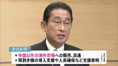 中国以外の新規海外市場への販売など支援へ　岸田総理が「処理水」影響受け漁業者支援策を発表| TBS CROSS DIG with Bloomberg