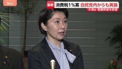 食料品の消費税率1％案に自民党内からも異論　小渕優子元選対委員長が税調幹部を辞任意向…消費税減税などの方針に反対姿勢示したか| TBS CROSS DIG with Bloomberg