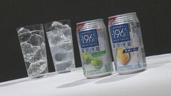 サントリー　甘くないチューハイ投入　酒税率アップで第3のビール→チューハイの流れ加速| TBS CROSS DIG with Bloomberg