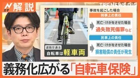もし、自転車事故の加害者になったら?賠償約9500万円の事例も 「自転車保険」入ってますか?【Nスタ解説】|TBS NEWS DIG
