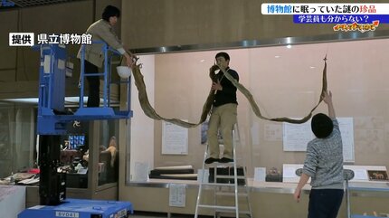 霊獣の絵？ツキノワグマのこどものはく製？アナコンダの皮？博物館の奥