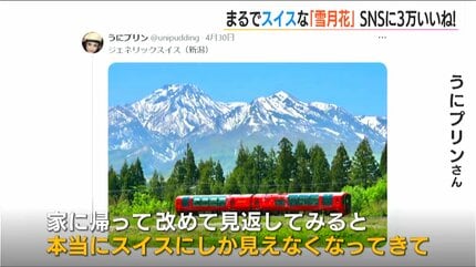 まるでスイス？」新緑と残雪の妙高山をバックに真っ赤な雪月花 “絶景