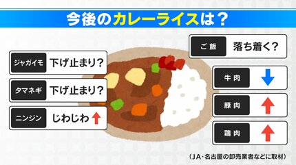 カレーライスの調理費用は「1食342円」に 10年前に比べて“100円近く”上昇 カレーライスの調理費用は「1食342円」に 10年前に比べて“100円近く”上昇