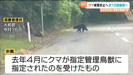 ツキノワグマ目撃相次ぐ中 10月から人里に近い地域で10頭捕獲へ 宮城