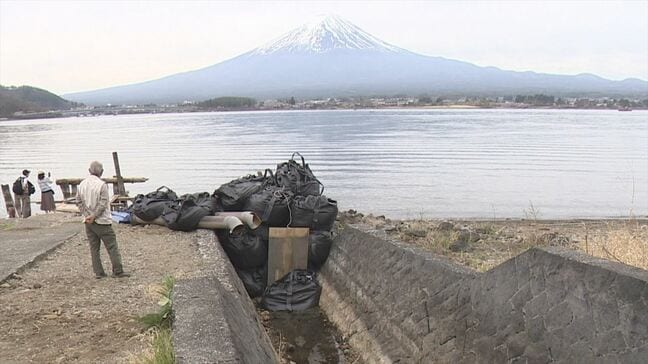 「ほとんど水がない」急きょポンプを設置　田んぼに使う水をくみあげ　水位は基準値のマイナス4ｍあまり　山梨・河口湖　|　山梨のニュース | ＵＴＹテレビ山梨