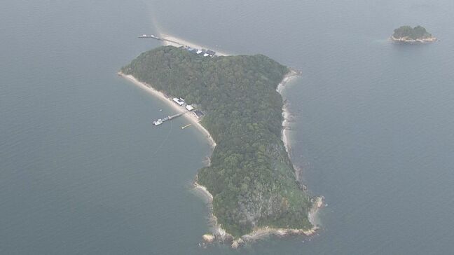「ごみを燃やしていたところ森林に燃え広がった」と通報 沖合の三河大島で森林火災 1人けが 愛知・蒲郡市|TBS NEWS DIG