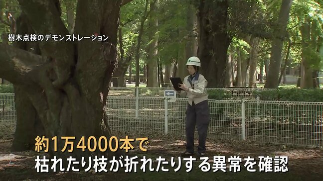 都内の樹木80万本を緊急点検　1万4000本に枝が折れたりするなどの異常　小池百合子都知事 「スピード感をもって植え替え進める」|TBS NEWS DIG