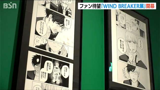 ファン待望のイラストも　人気漫画「WIND BREAKER」　新潟市で初めて展覧会　|TBS NEWS DIG